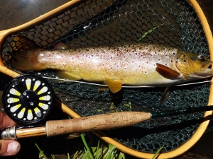 Frank's Fly Fishing Adventures